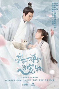 Кошка из палаты по уголовным делам